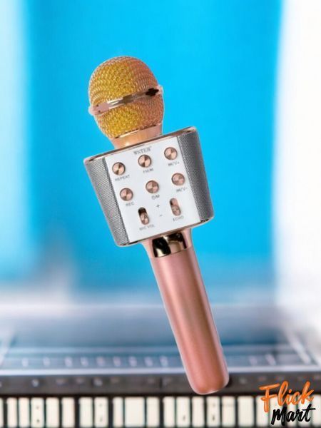 Мікрофон-караоке бездротовий bluetooth WSTER WS-1688 Рожевий WS1688278454 фото